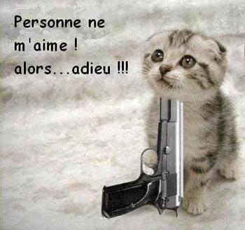 pas  bete